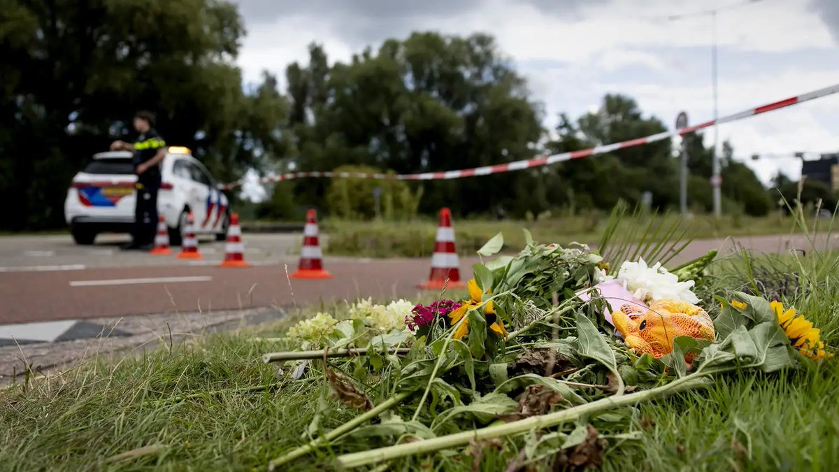 De allerdonkerste kant van migratie

Midden in de nacht schrik je wakker van het geluid van de deurbel en terwijl je op de klok kijkt, het is bijna vier uur in de ochtend, zie je dat de slaapkamer verlicht is in het ritmisch geknipper van blauw licht. Je loopt enigszins slaperig