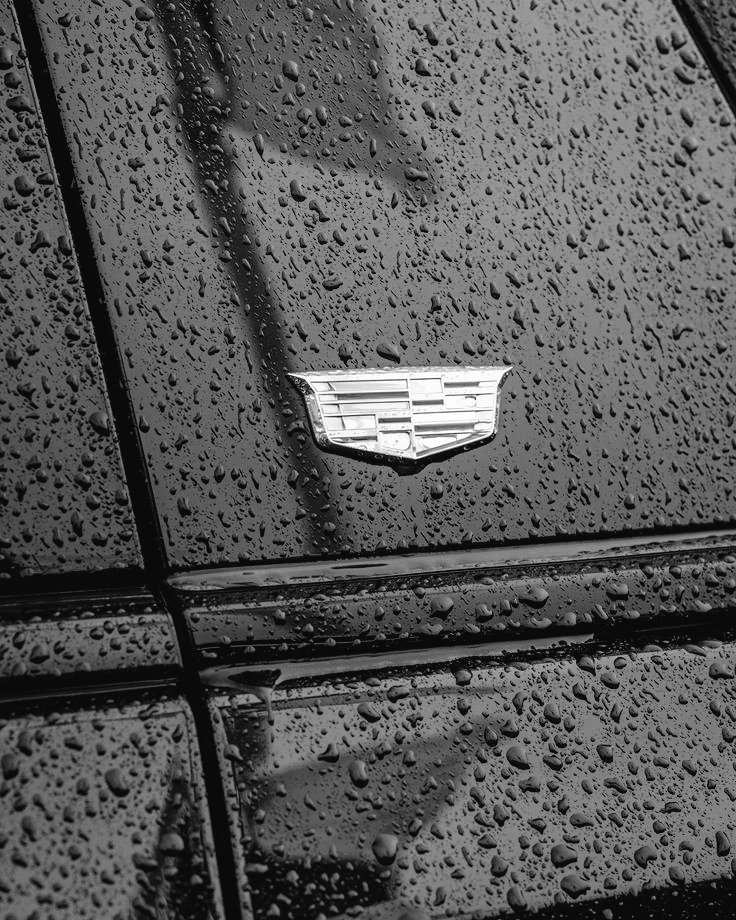 🌧️ ¿Lluvia en Zandvoort? 

Lo bien que se vería este logo en pista 😍 #F1