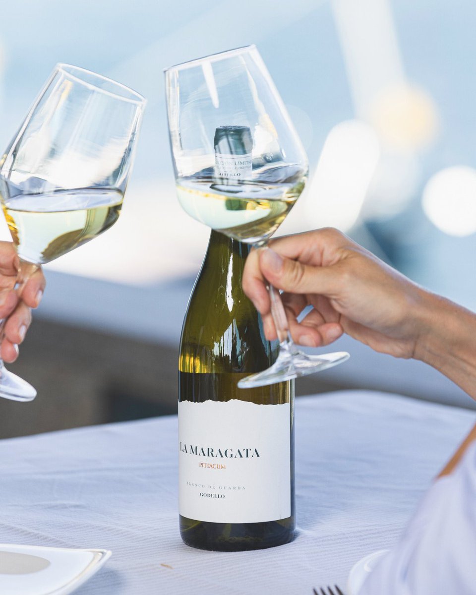 Ese reencuentro especial ya llegó... y no hay mejor ocasión para descorchar #LaMaragata, un godello auténtico.
.
.
#GrupoTerrasGauda #SomosTerrasGauda #BodegasPittacum #Bierzo #bierzowines
#WineOfTheDay #wine #winery #winetime #winemoments #winelovers #godello #godellowine