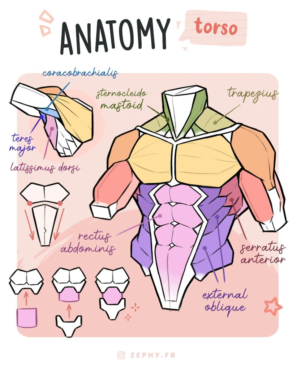 xppenusa's tweet image. 