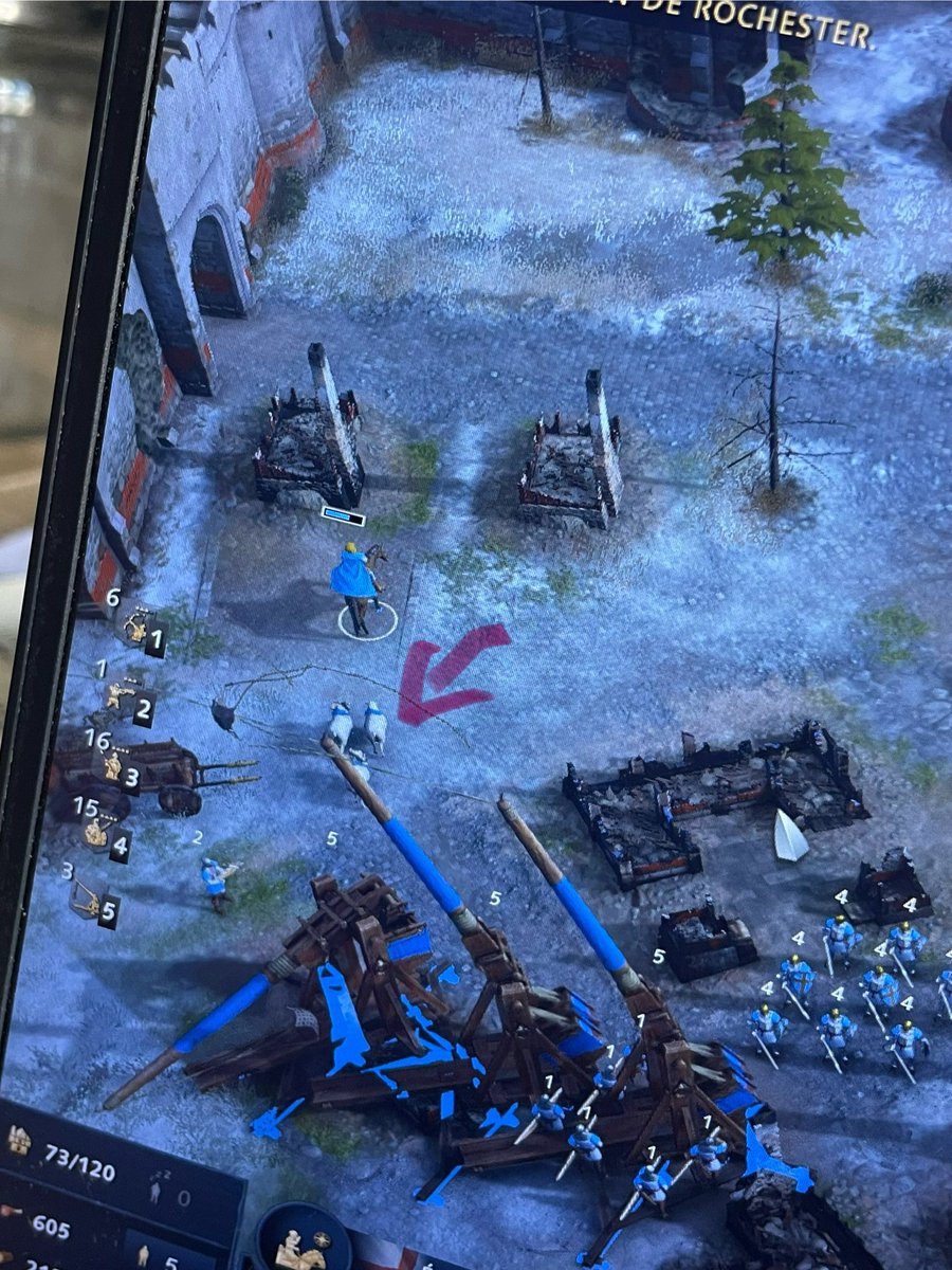 L’histoire retiendra qu’à la bataille de Rochester, il y avait… des moutons. Merci à mes archers, unité d’élite.