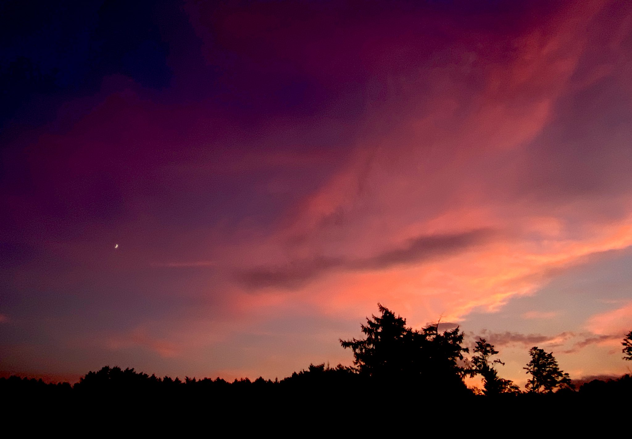 富士山コレクター大宮仁 on X: 