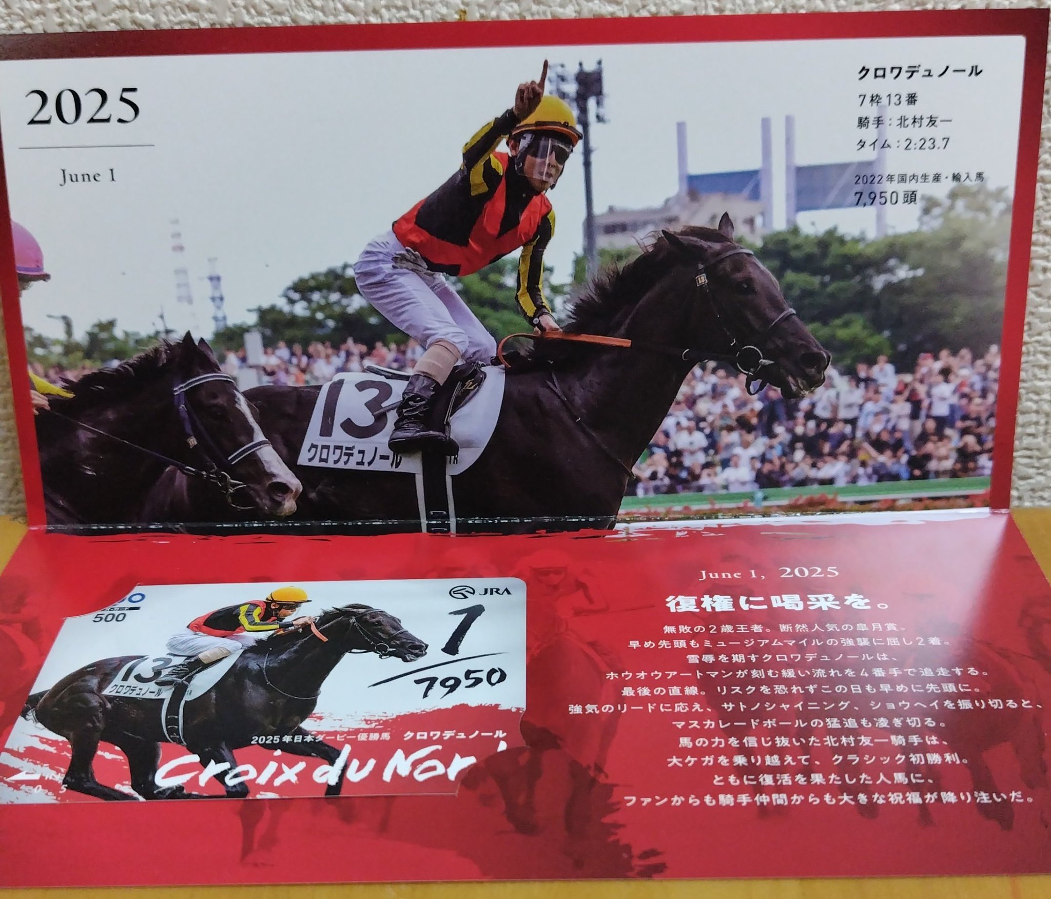 JRA2019オークス東京競馬場アーモンドアイBIGポスターハンカチ