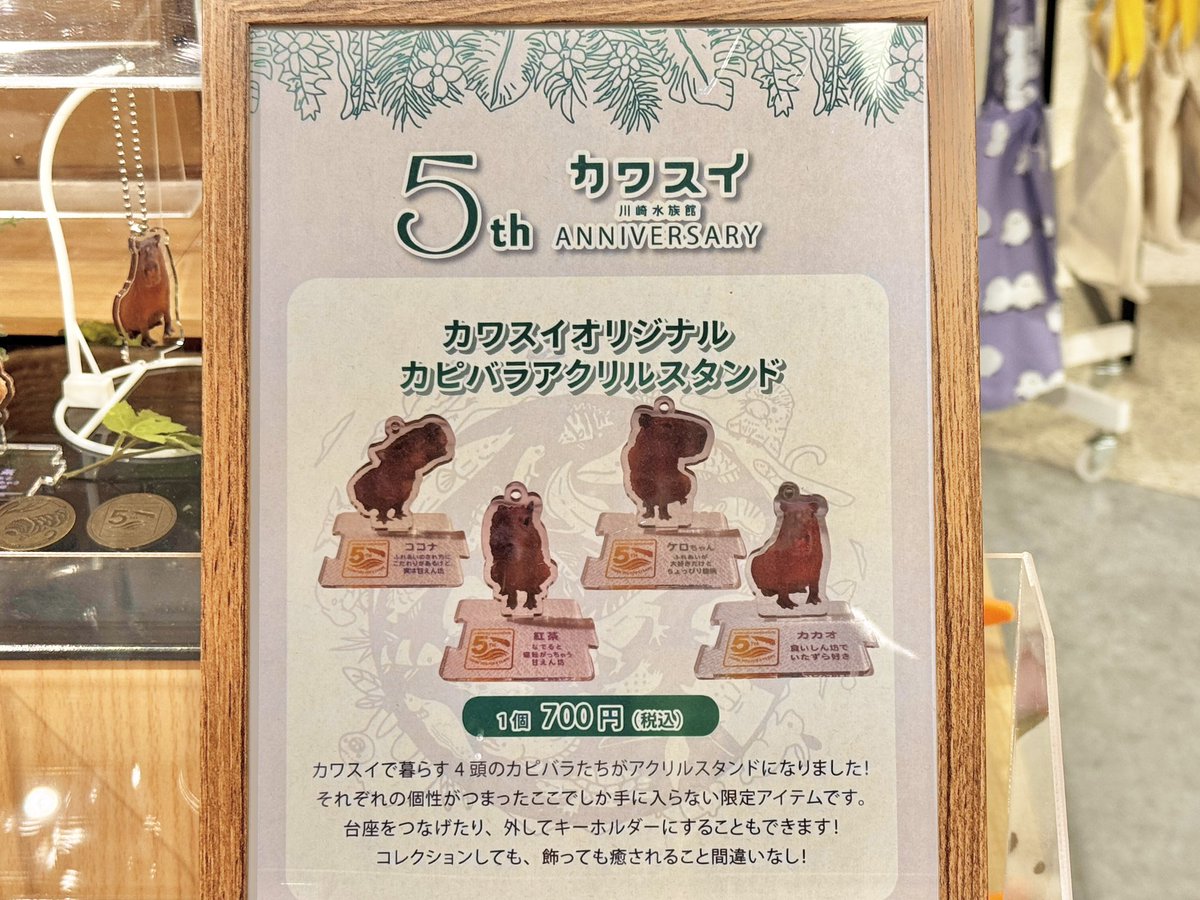 カワスイ5周年記念「カピバラアクリルスタンド」の納品に行ってきました♪ 苦労して作成したので是非4匹揃えてもらえると嬉しいです(^_−)−☆ 
#カワスイ
#川崎水族館
#ねこのしっぽ