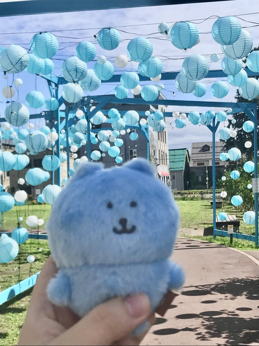 컬러곰을 데려오게 되신다면
꼭 같은 색의 풍경과 함께 사진을 찍어보세요...🌈