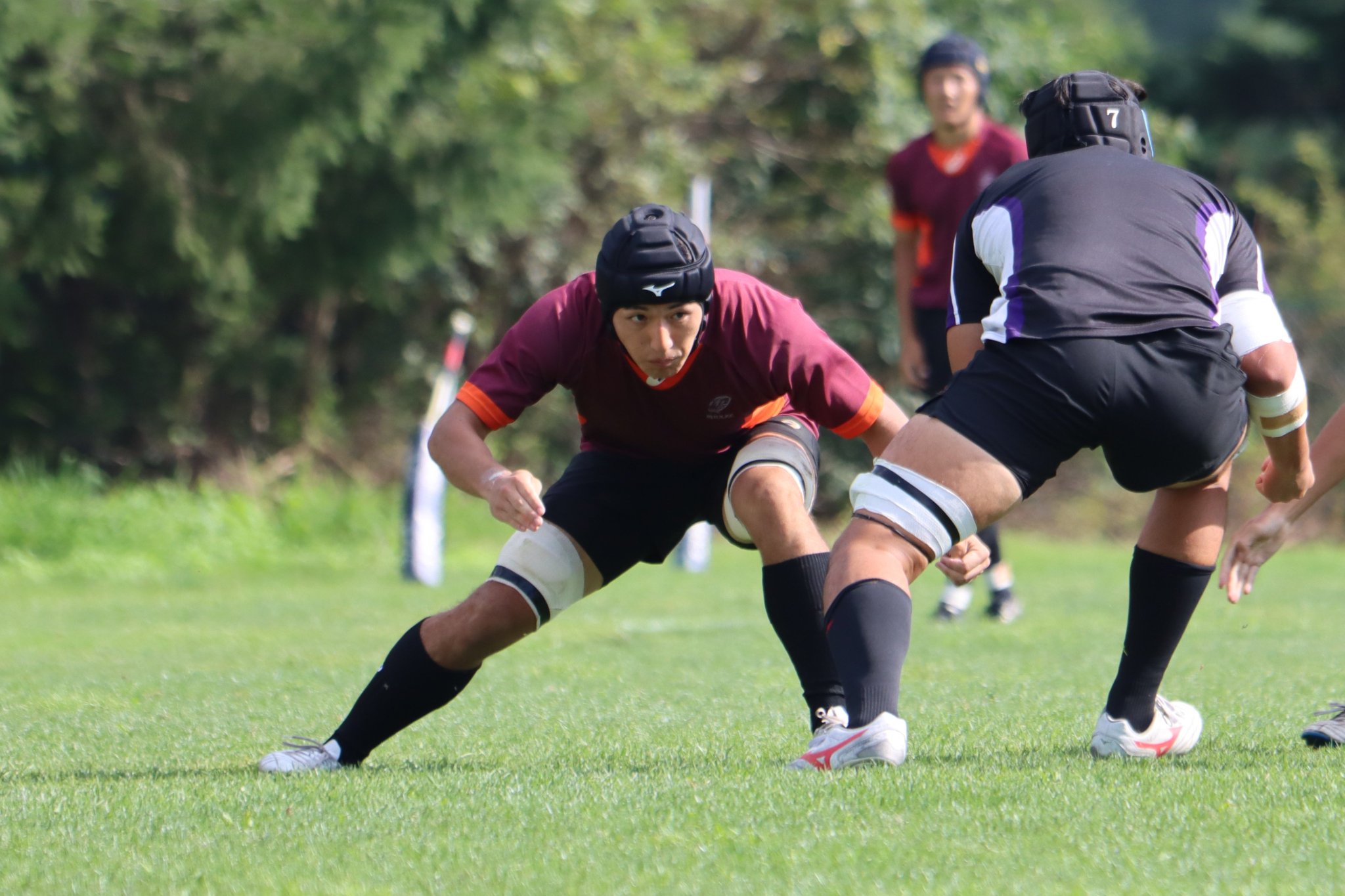 【激レア！】早稲田大学ラグビージャージ HattoriRyota241105.jpg