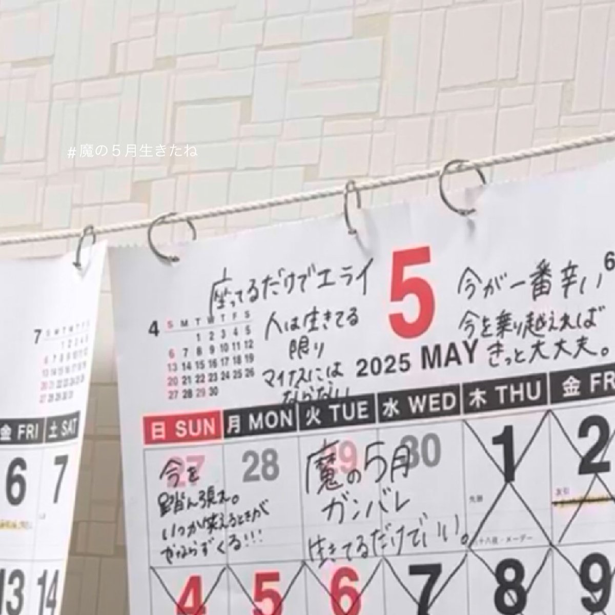 ぷんちゃん tweet media