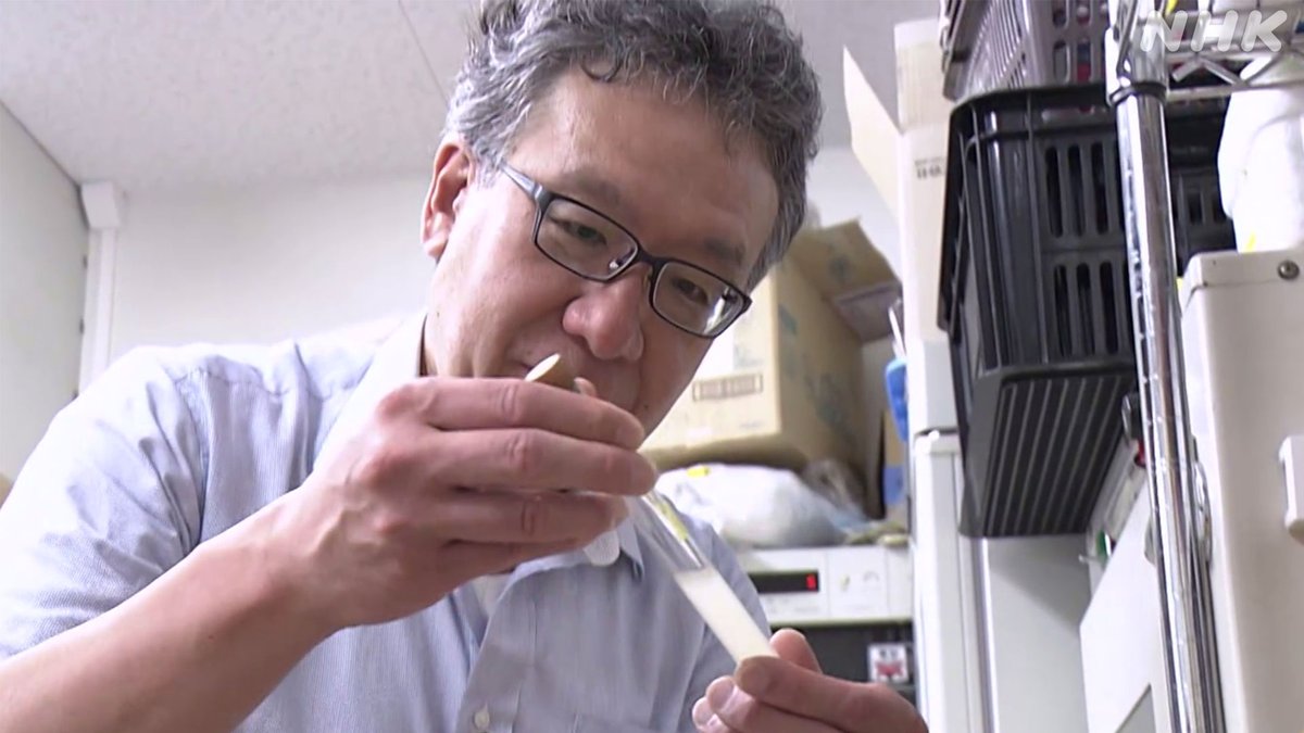 nhk_sciencezero's tweet image. 📺再放送は あす 午前11時〜[Eテレ]
#サイエンスZERO
◤迷惑植物？ “クズ” 驚異の生命力に迫る◢

クズが今、雑草化して大繁殖！
電線に絡まって停電を引き起こすことも…

驚異の生命力と秘められた可能性に迫ります！

／
見逃し配信は
31(日) 夜11:59 まで
＼
nhk.jp/p/zero/ts/XK5V…
