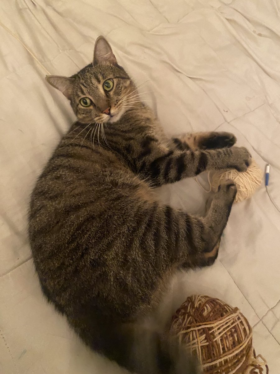 💚Nat!!🫧🧡🦪 tweet media