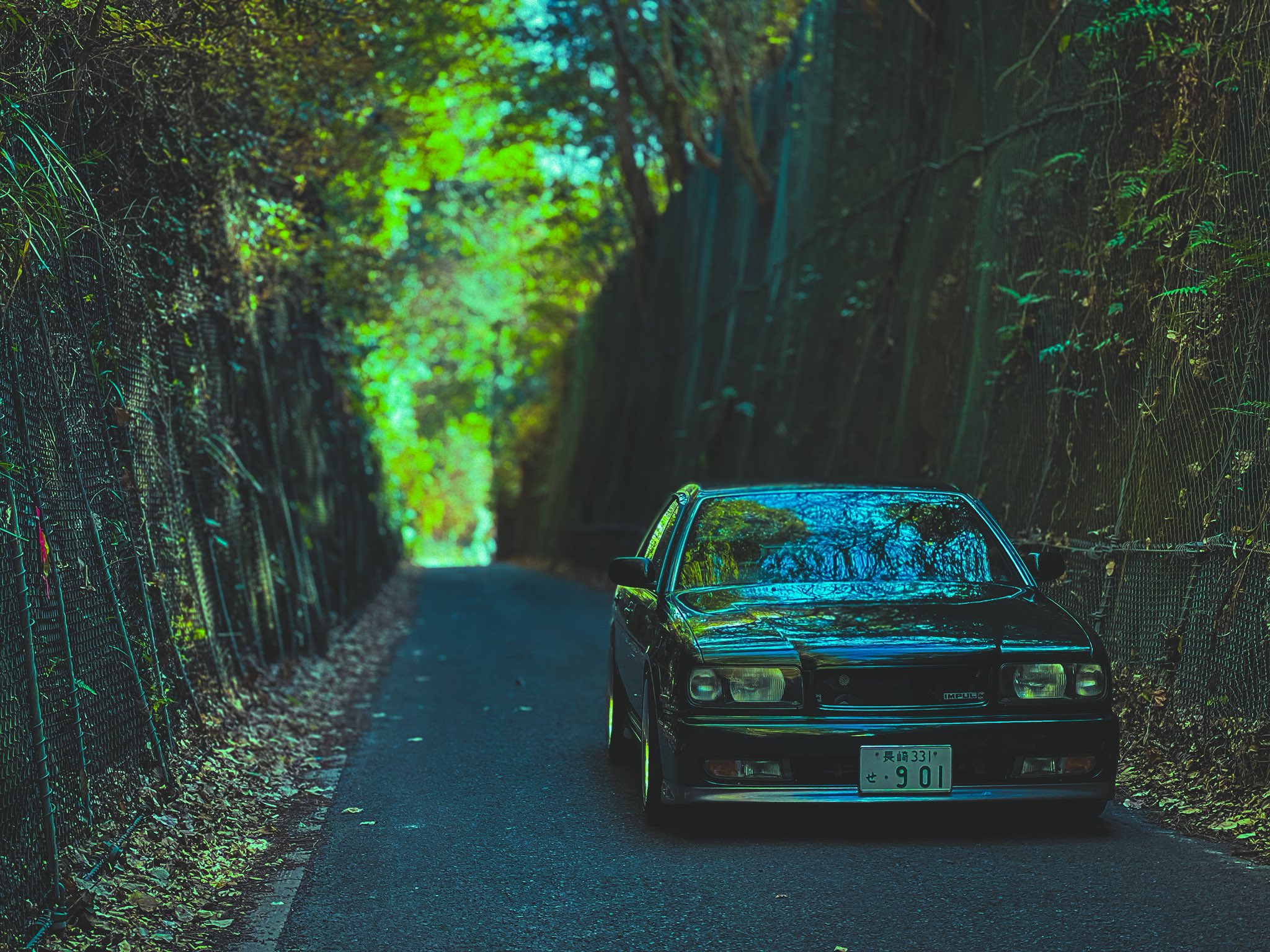 いけさん🌸😈 on X: 
