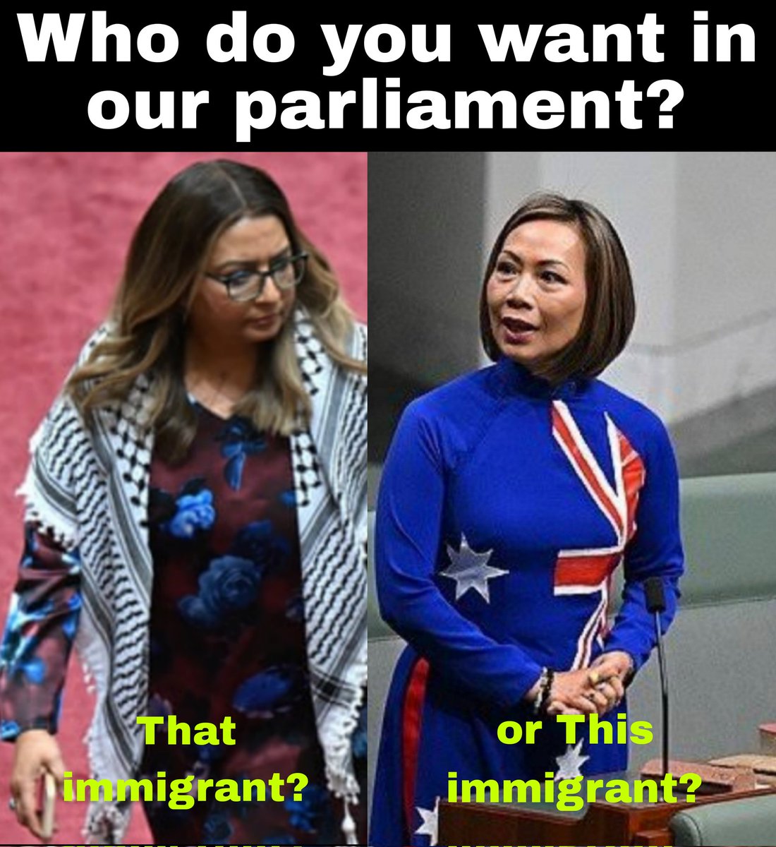 actualAlexJames's tweet image. Do you support assimilated migrants?