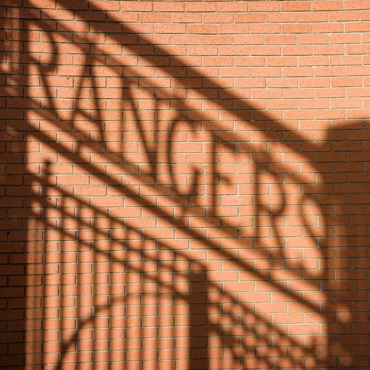 Barry Souness (@barrysouness) on Twitter photo Everyone at <a href="/RangersFC/">Rangers Football Club</a> is deeply saddened to announce that Russell Martin is still our men’s first team head coach.
Our thoughts and prayers are with our fans and everyone in the #Rangersfamily Everyone at <a href="/RangersFC/">Rangers Football Club</a> is deeply saddened to announce that Russell Martin is still our men’s first team head coach.
Our thoughts and prayers are with our fans and everyone in the #Rangersfamily