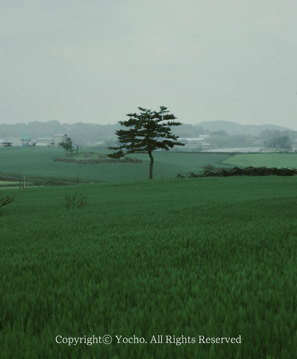 Gihwa_yocho's tweet image. 