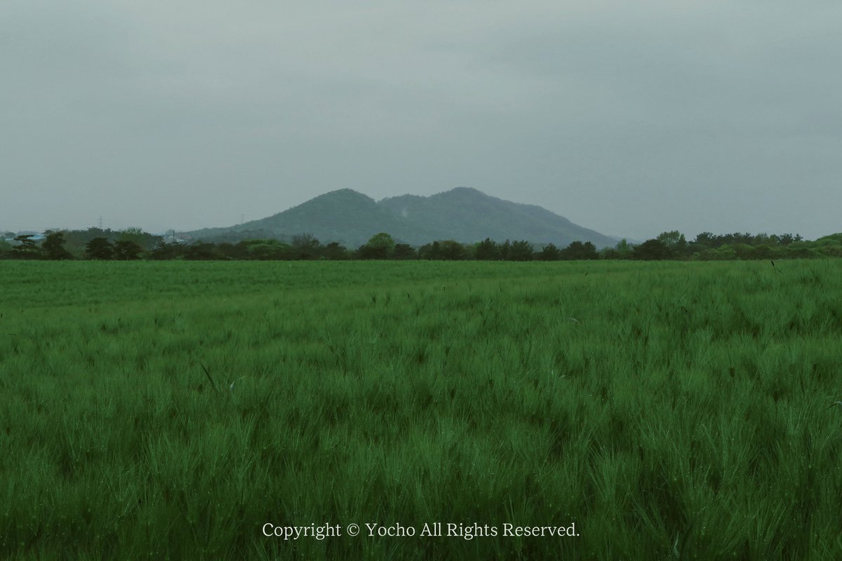 Gihwa_yocho's tweet image. 