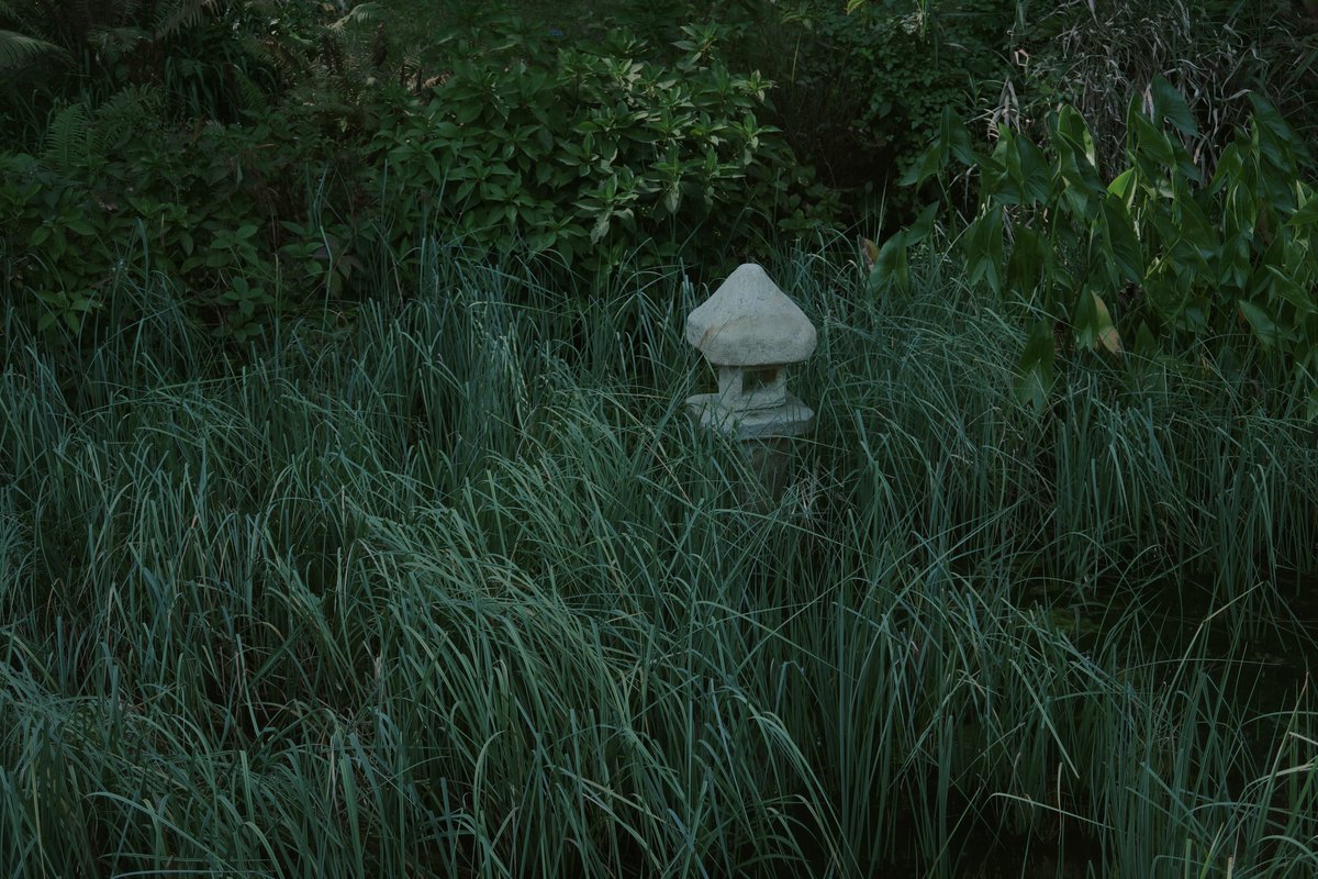 Gihwa_yocho's tweet image. 