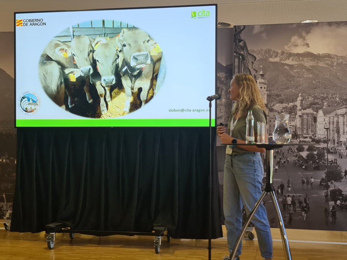 CITAAragon's tweet image. Han presentado siete comunicaciones, cinco de ellas orales🗣️ y dos en formato póster📄 de los proyectos #LocalBeef, #OvAlTe, #EWESTRESS, #CoCo y #GANARAM