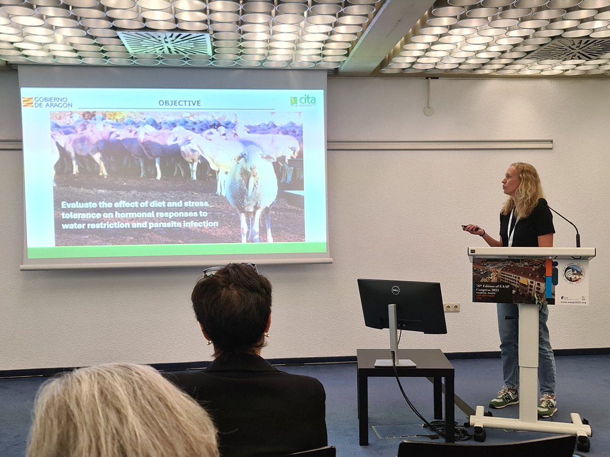 CITAAragon's tweet image. Han presentado siete comunicaciones, cinco de ellas orales🗣️ y dos en formato póster📄 de los proyectos #LocalBeef, #OvAlTe, #EWESTRESS, #CoCo y #GANARAM