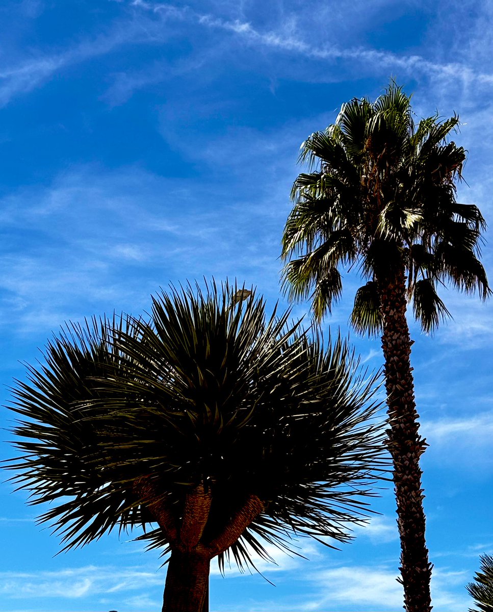 Feliz viernes a todos ☀️☀️☀️🏖️

<a href="/EmocionesCan/">Emociones Canarias</a> <a href="/wandwoo/">Desde mi corazon</a> <a href="/elpaiscanario/">EL PAÍS CANARIO</a> <a href="/yconsumocanario/">Yo Consumo Canario 🇮🇨 🌴</a> <a href="/TeneriFeliz/">TeneriFeliz ☀️⛱️ ❤️</a> <a href="/VisitaVen/">Ven de Visita a Tenerife</a> <a href="/TenerifeCitizen/">Urbānitās.</a> <a href="/CONTUNDENTEE/">Francisco Guerra Sandoval. 🏴󠁧󠁢󠁳󠁣󠁴󠁿</a> <a href="/de1969/">maría lapas</a>