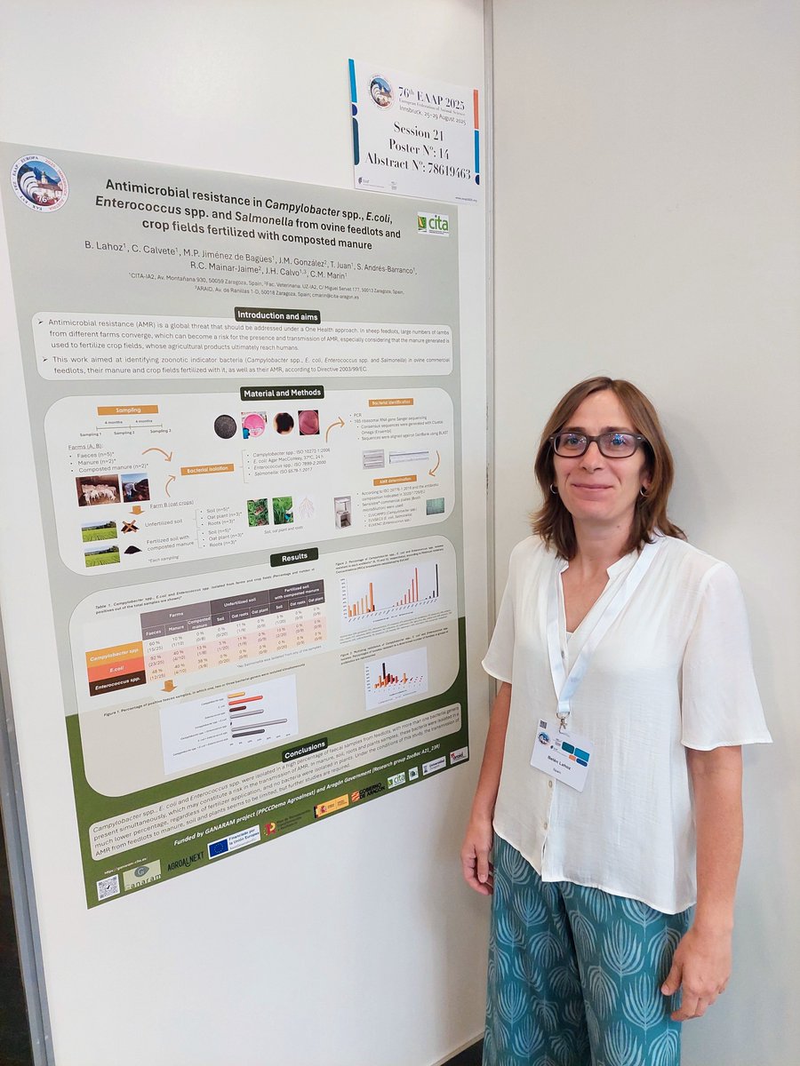 CITAAragon's tweet image. Han presentado siete comunicaciones, cinco de ellas orales🗣️ y dos en formato póster📄 de los proyectos #LocalBeef, #OvAlTe, #EWESTRESS, #CoCo y #GANARAM