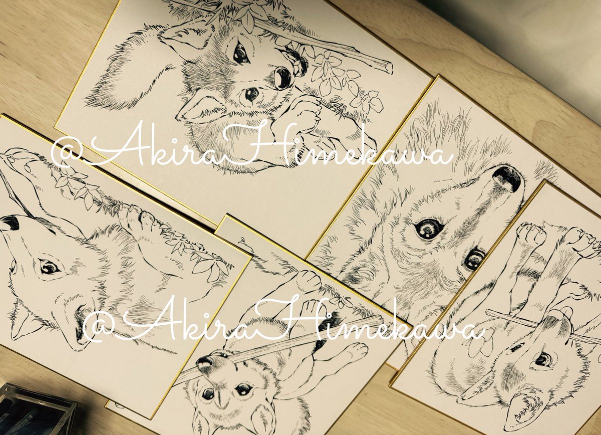 オオカミ展示絵になります。 下描きから早一年！ましろちゃん