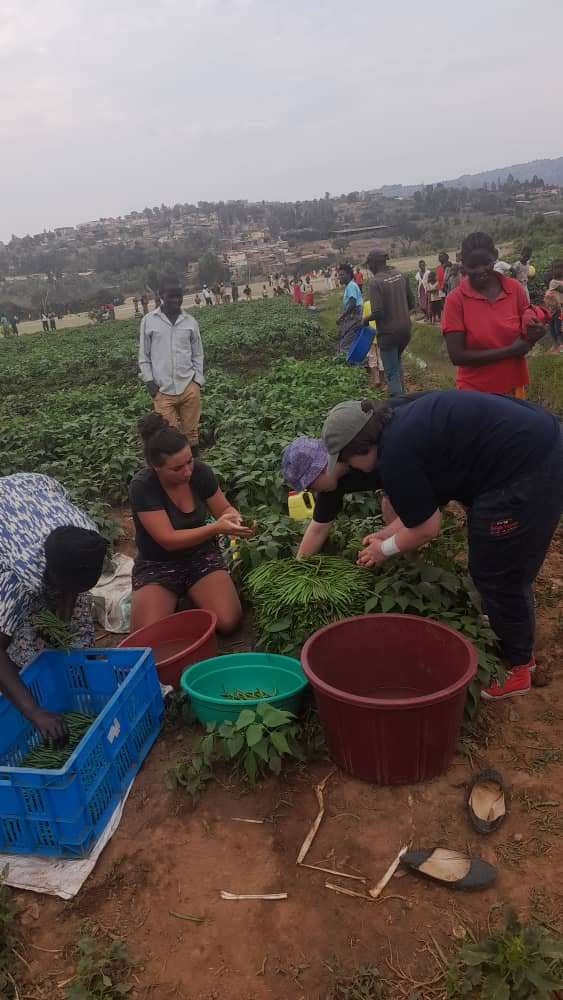 Abakozi kumurimo nibo Imana yemera <a href="/Duhinge1/">DUHINGE ISHIMWE COMPANY Ltd</a> kwisonga