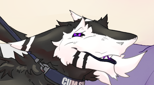 Teremun (now on bsky) inactive here💢 tweet media