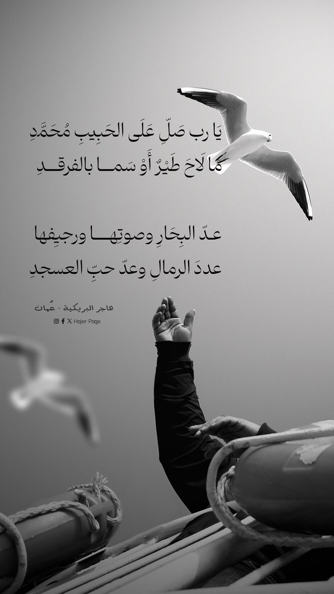 هاجرالبريكي tweet media