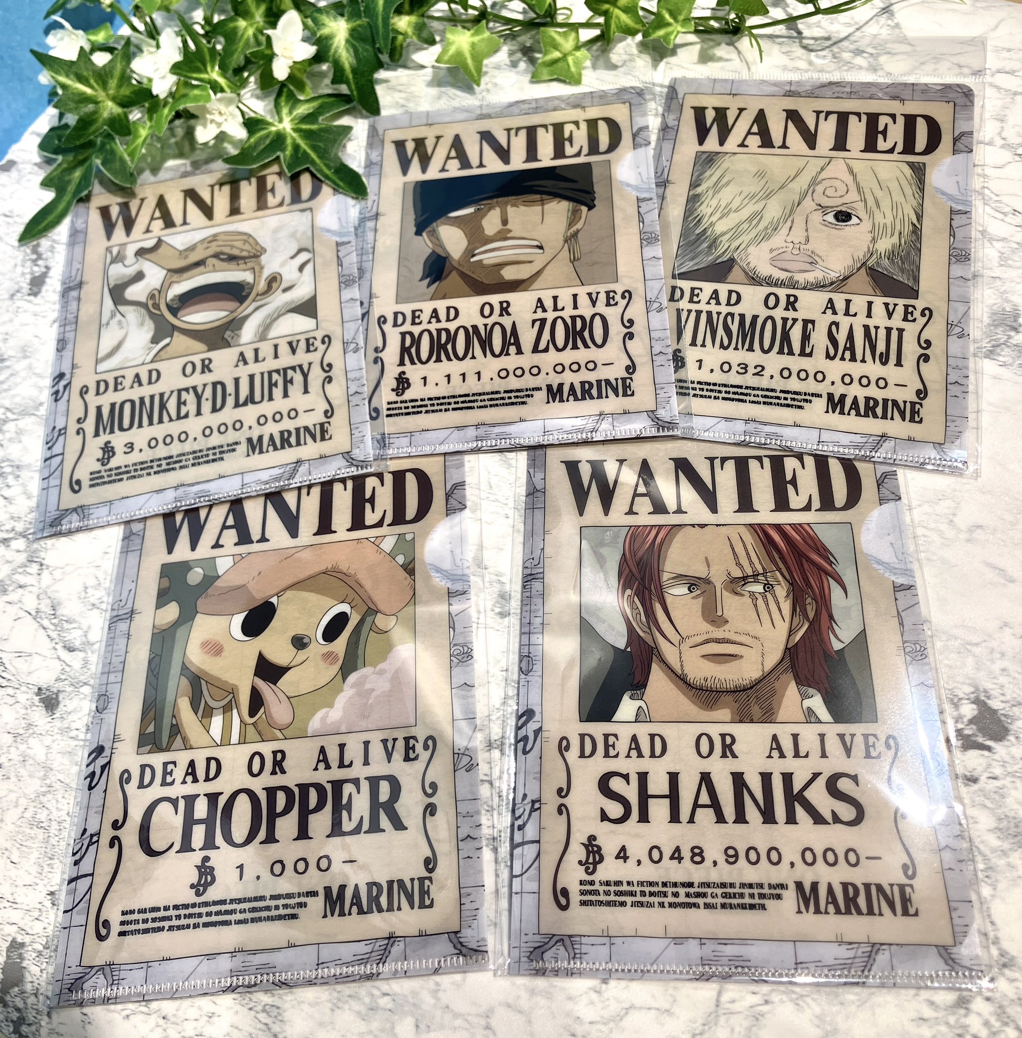 麦わらストア A6サイズ 手配書ミニクリアファイル　23種セット ONE PIECE 麦わらストア梅田店 on X: 