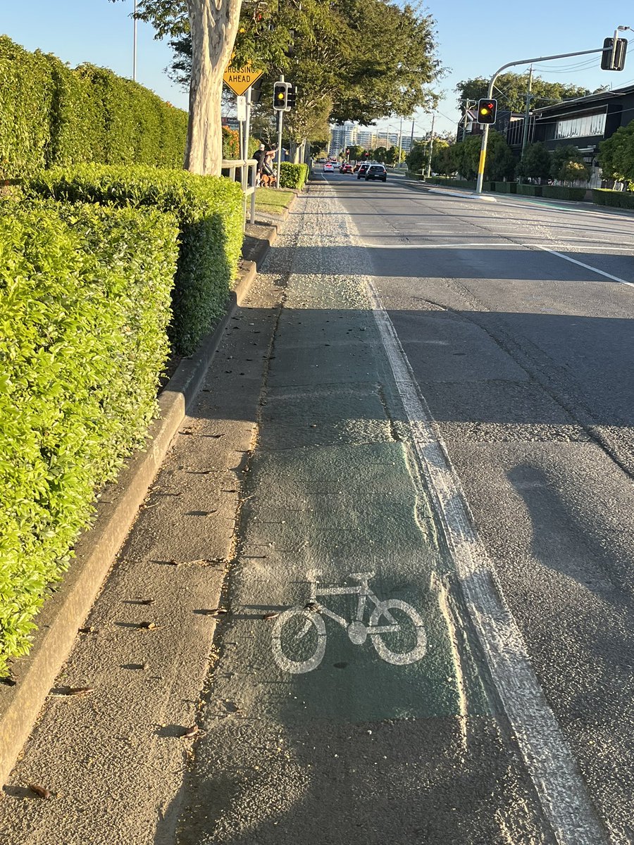 Airport BUG tweet media