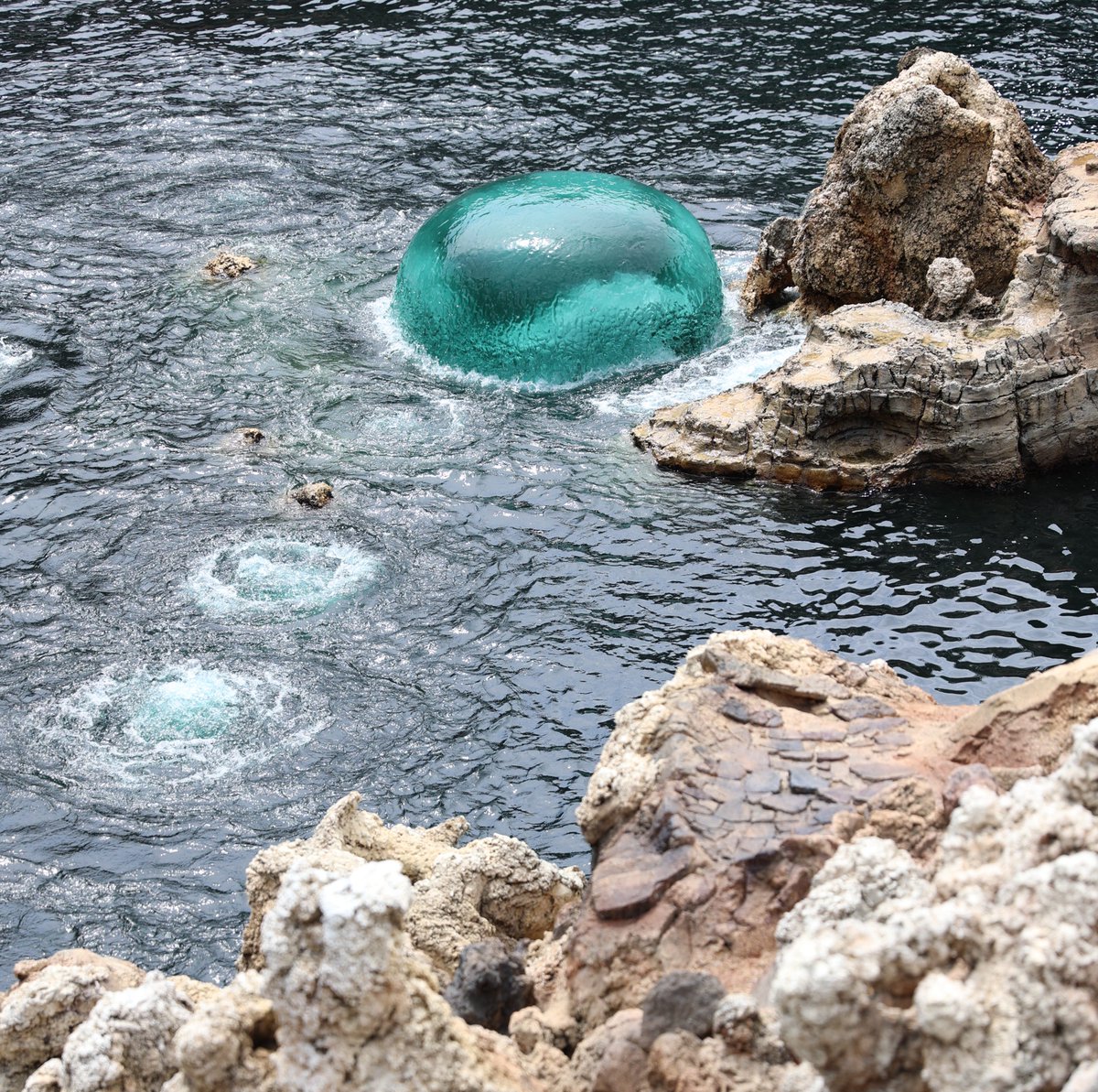 昨日美味しそうな水まんじゅう見つけたよ🥺ᩚ