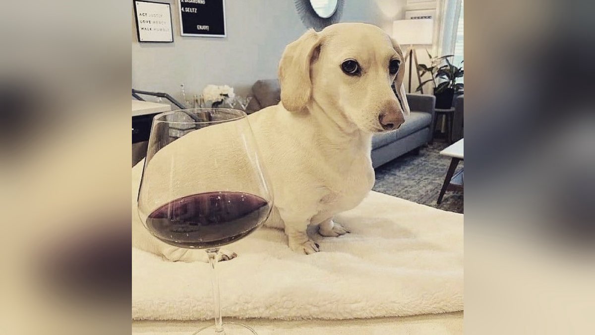 kian (alan moore arc) (@kianthequark) on Twitter photo 