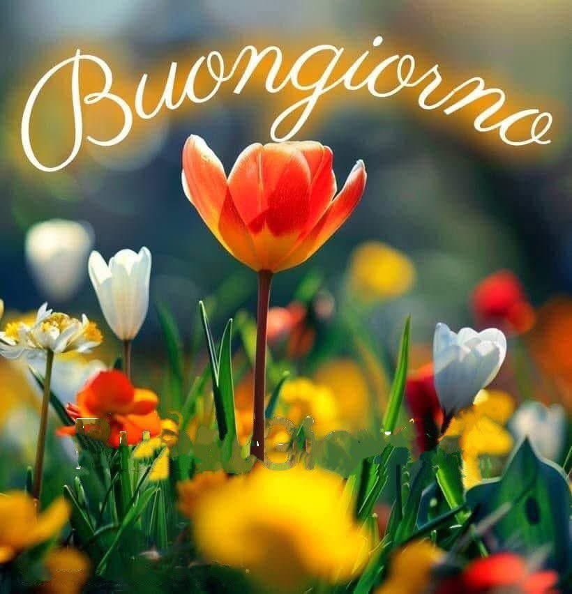 RITABIANCHi56 tweet media