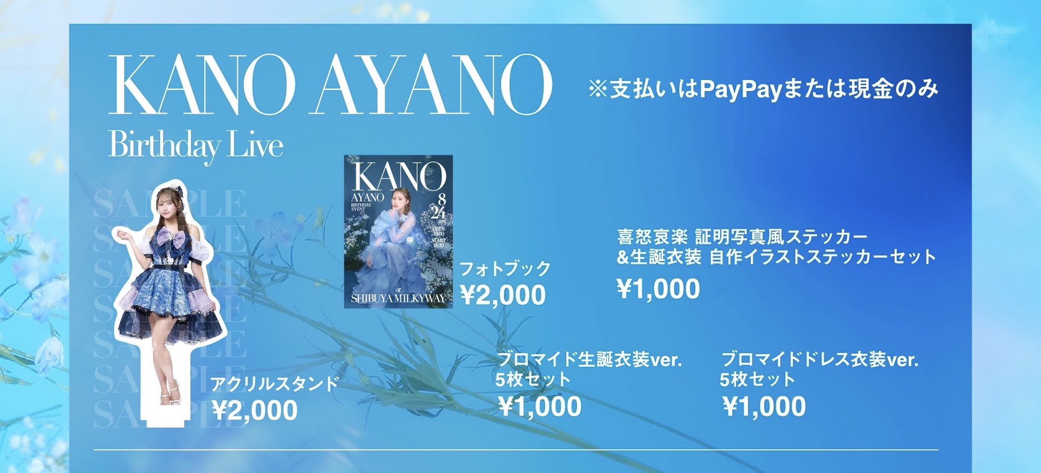 The Birthday ラフィン 2014 Sサイズ The Birthday ラフィン 2014 Sサイズ SURFBOARD - SURFSHOP by