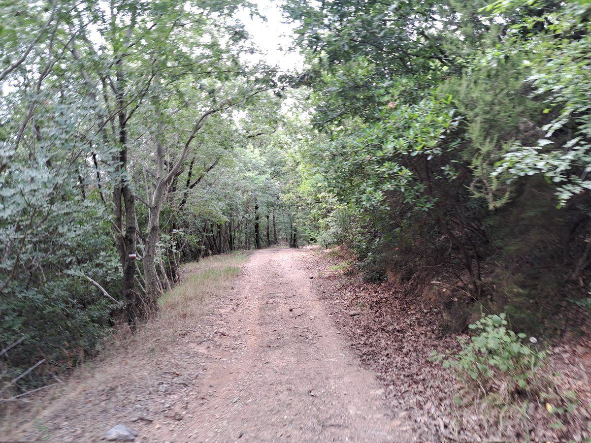 Yesterday two Sota/Pota activation near Capalbio in Tuscany