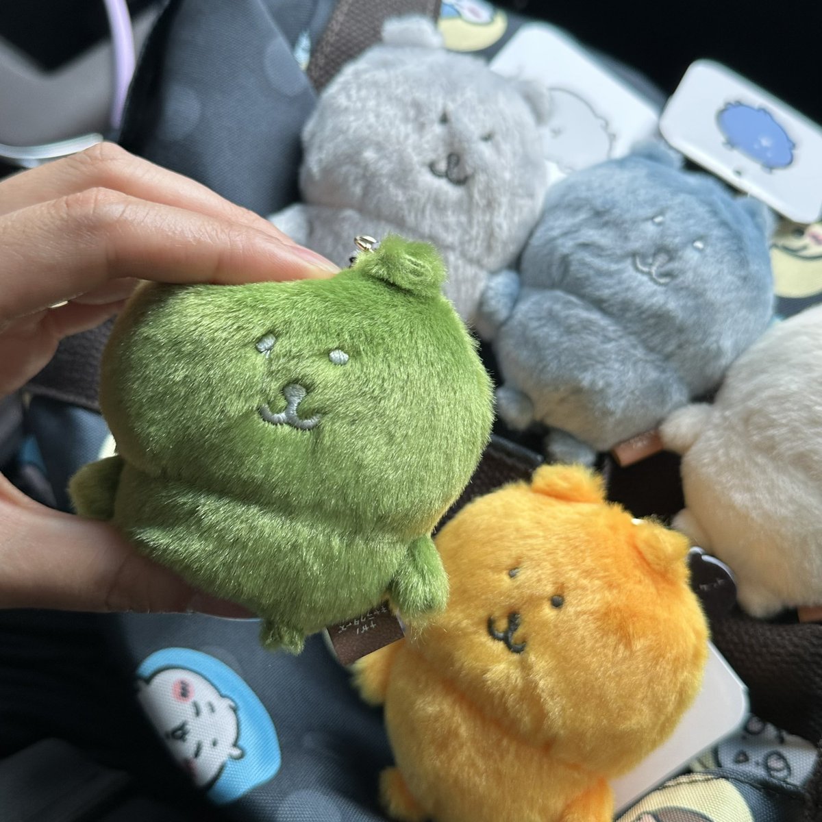 한국 한정 컬러곰 + 💛곰 구매 완료✌🏻

그리고 눈이 다른 말차곰💚 겟챠!