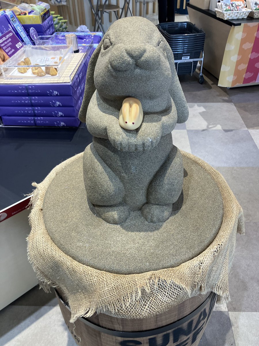 因幡の白うさぎ【公式】 (@shirousagi_2222) / Posts / X