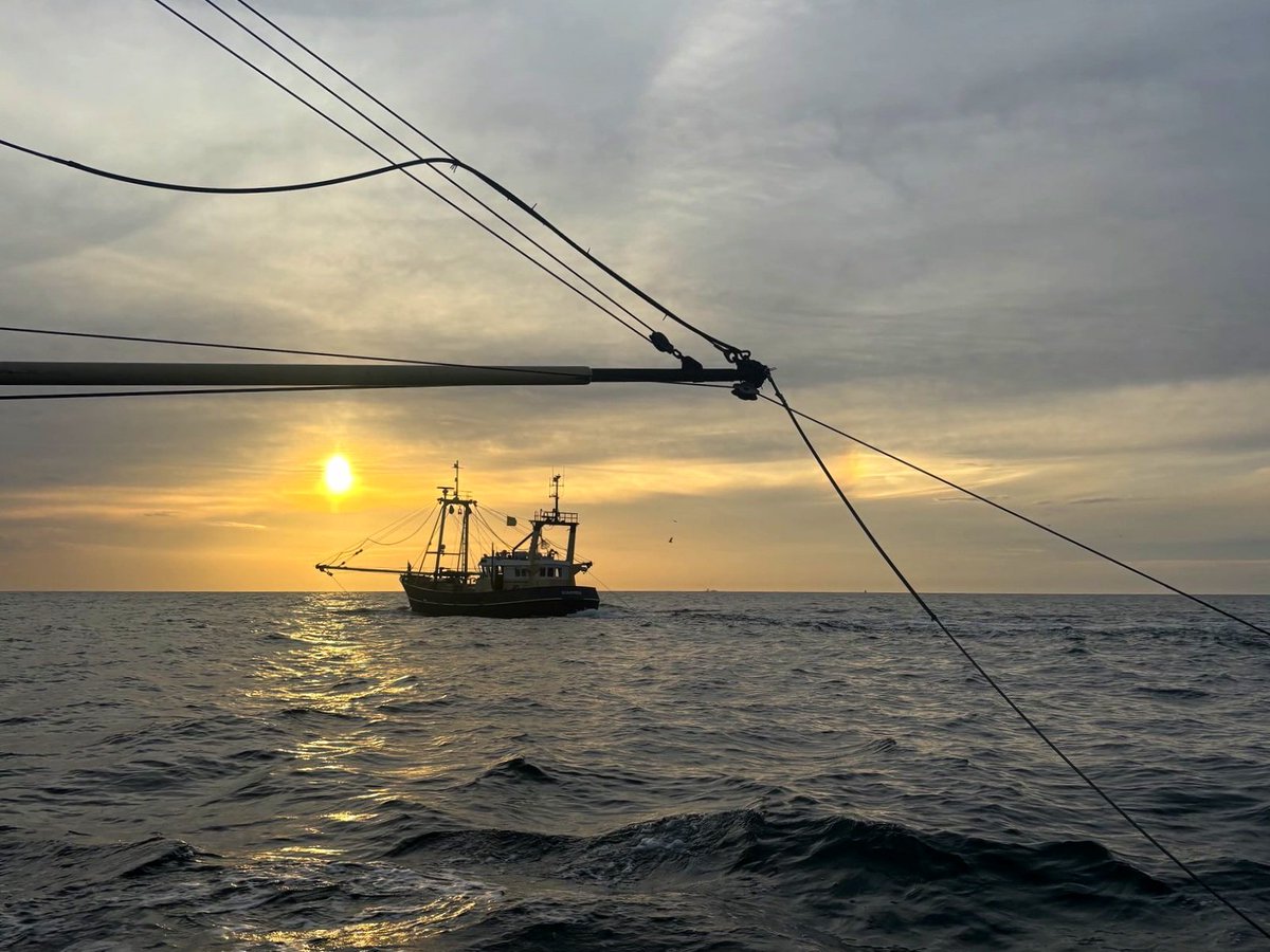 EMKvissers's tweet photo. Goedemorgen! Het is vrijdag vis- en garnalendag. Onze vissers voerden vannacht en vanochtend weer gezond en lekker voedsel aan. Geniet ervan. Garnalenvisser en fotograaf @ZwaanWillem nam deze week ook iets extra's mee van zee ๐ https://t.co/Cw2XYCNrDg