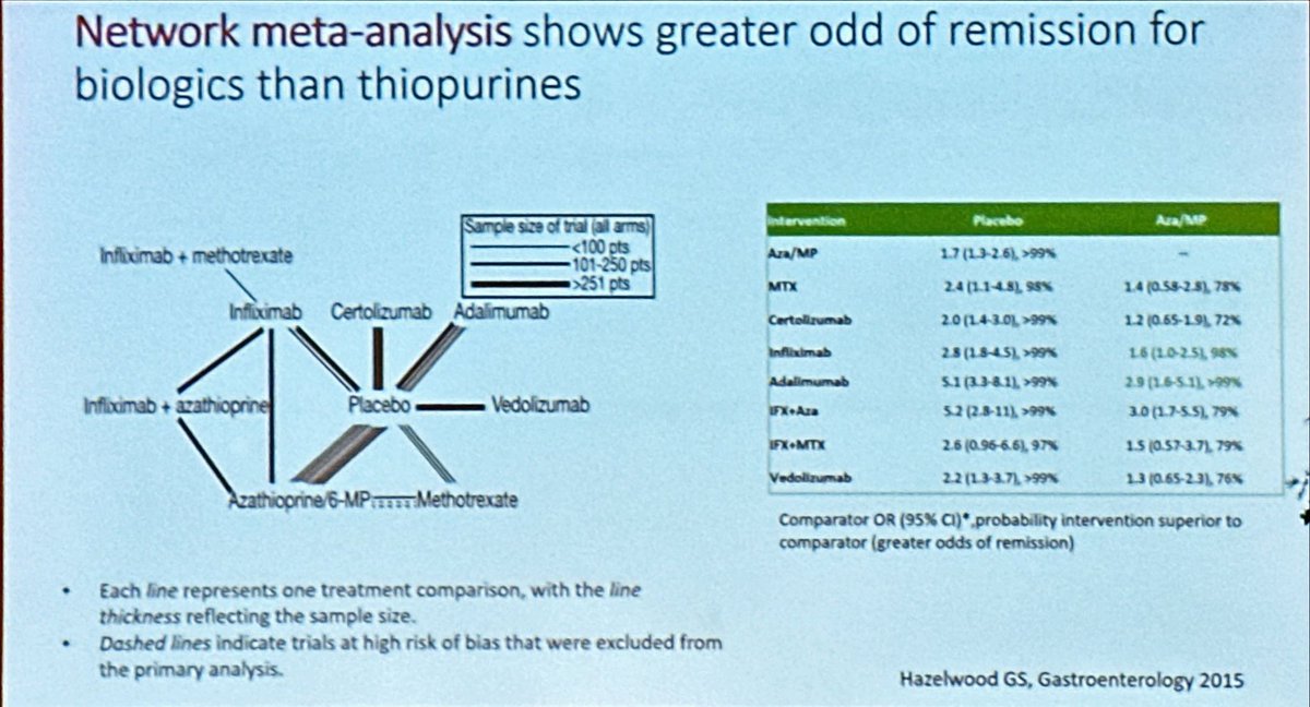 Beatriz Gros tweet media