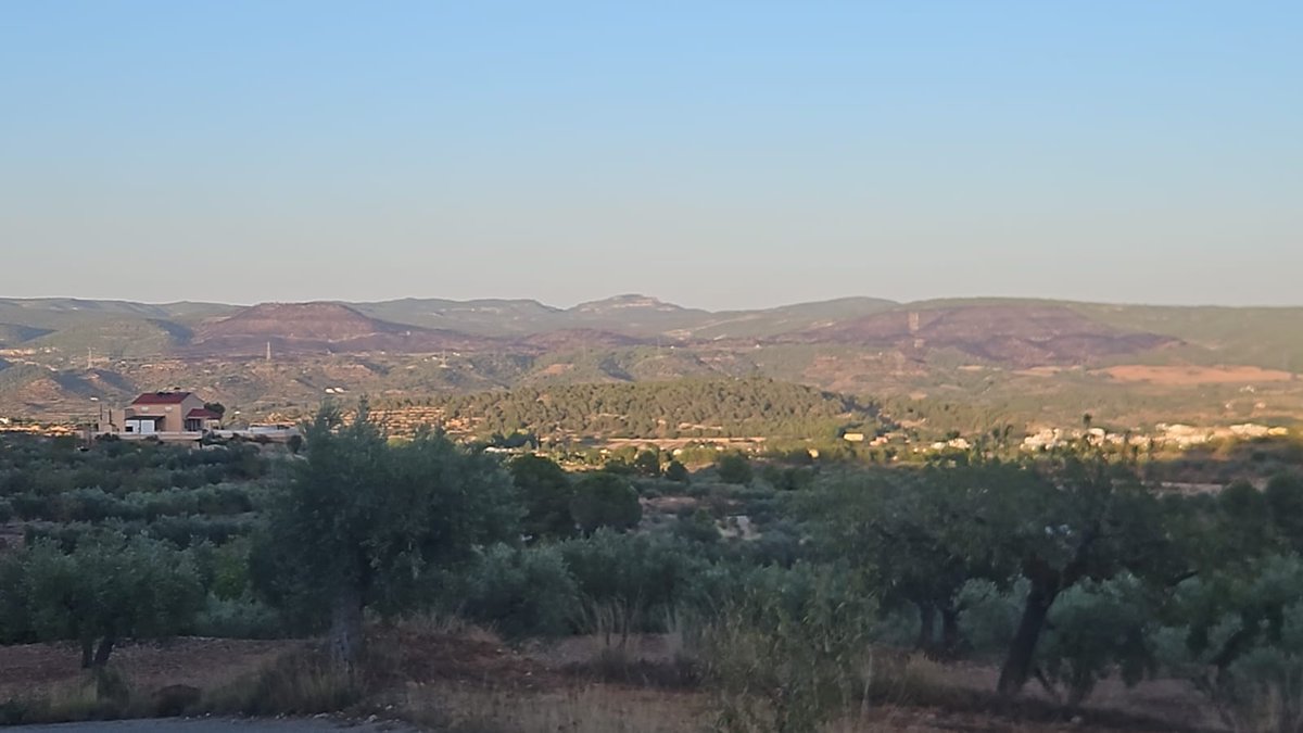 Esta es la panorámica del #IFTeresaDeCofrentes desde Ayora. Se puede observar la extensión del incendio, en la parte izquierda el Cerro Carboneras y a la derecha el Alto el Estado y la Hortichuela. En el centro y sin verse afectado por el incendio el Pico Caroche