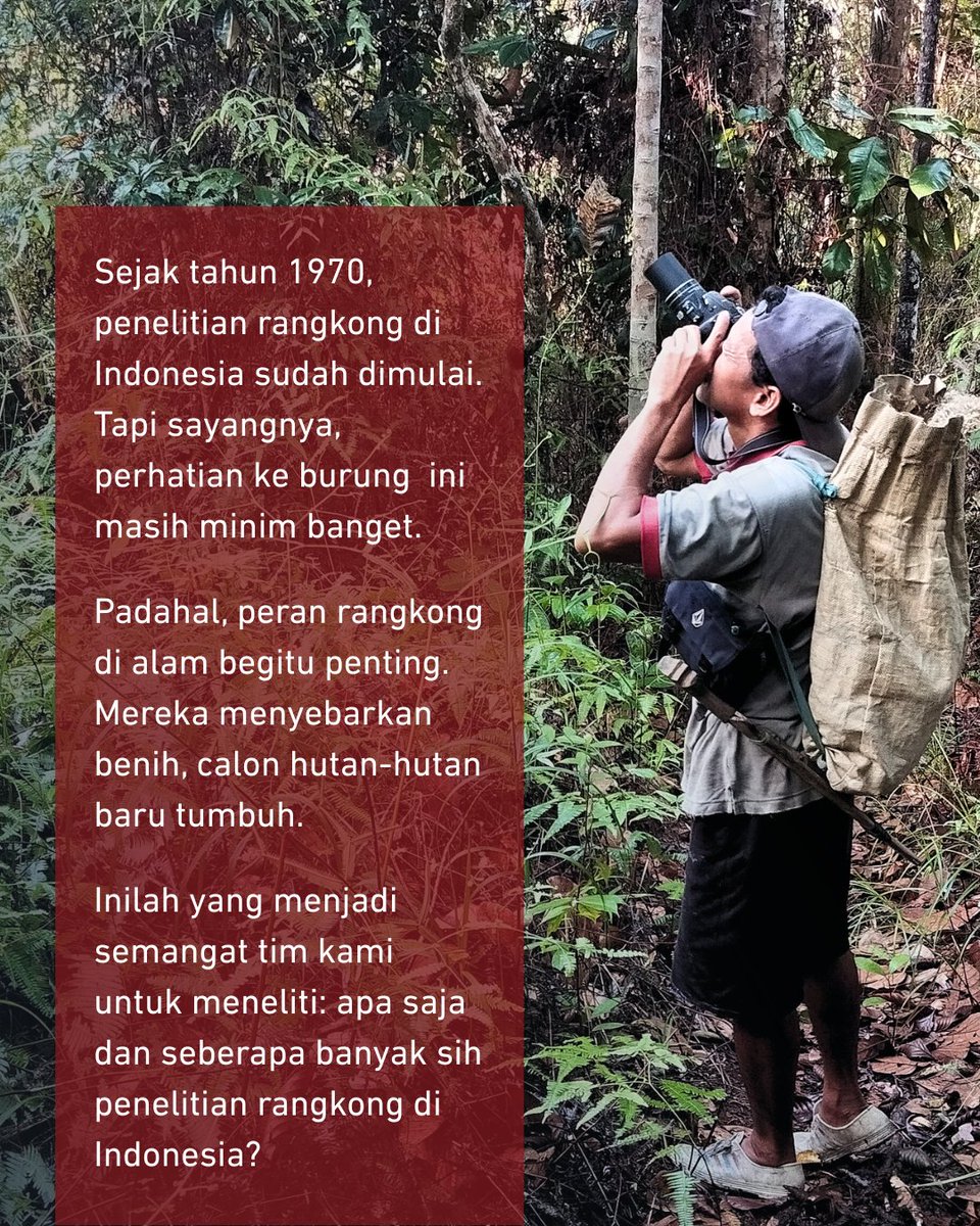 Rangkong Indonesia tweet media