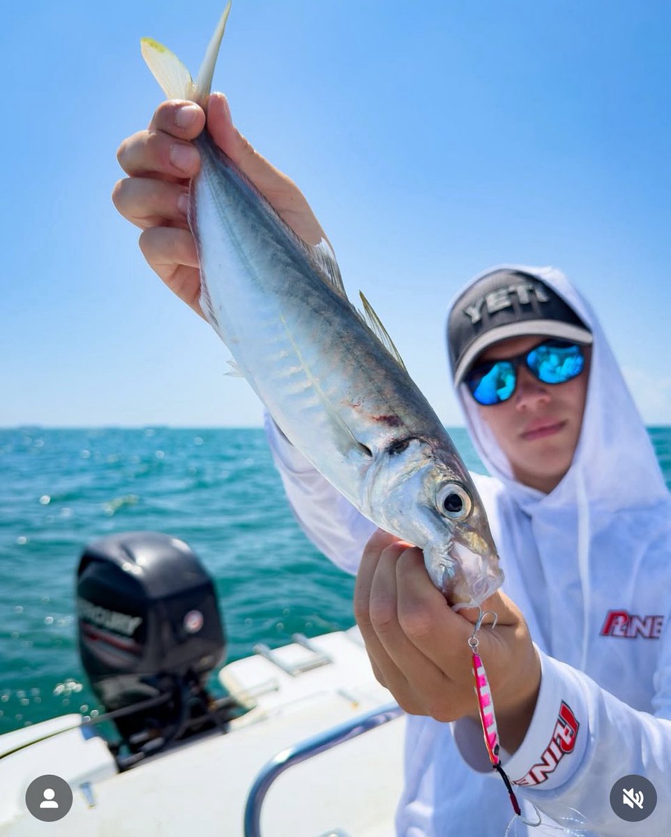 palms_global's tweet photo. Micro Jigging with Miniature Dax in Italy 🇮🇹
Lure: Miniature Dax
Grazie Elia !!
#palmsfishing #microjigging #microjig #bluespringsitaly @bluespringsitaly @palms_japan https://t.co/vrMp6qs121