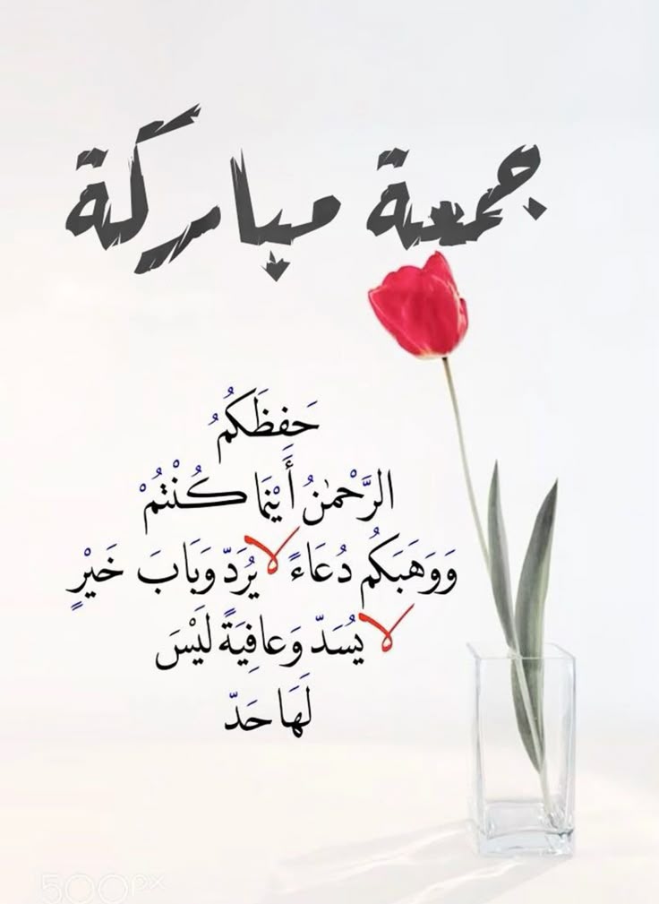 احــــــــلام☆ tweet media