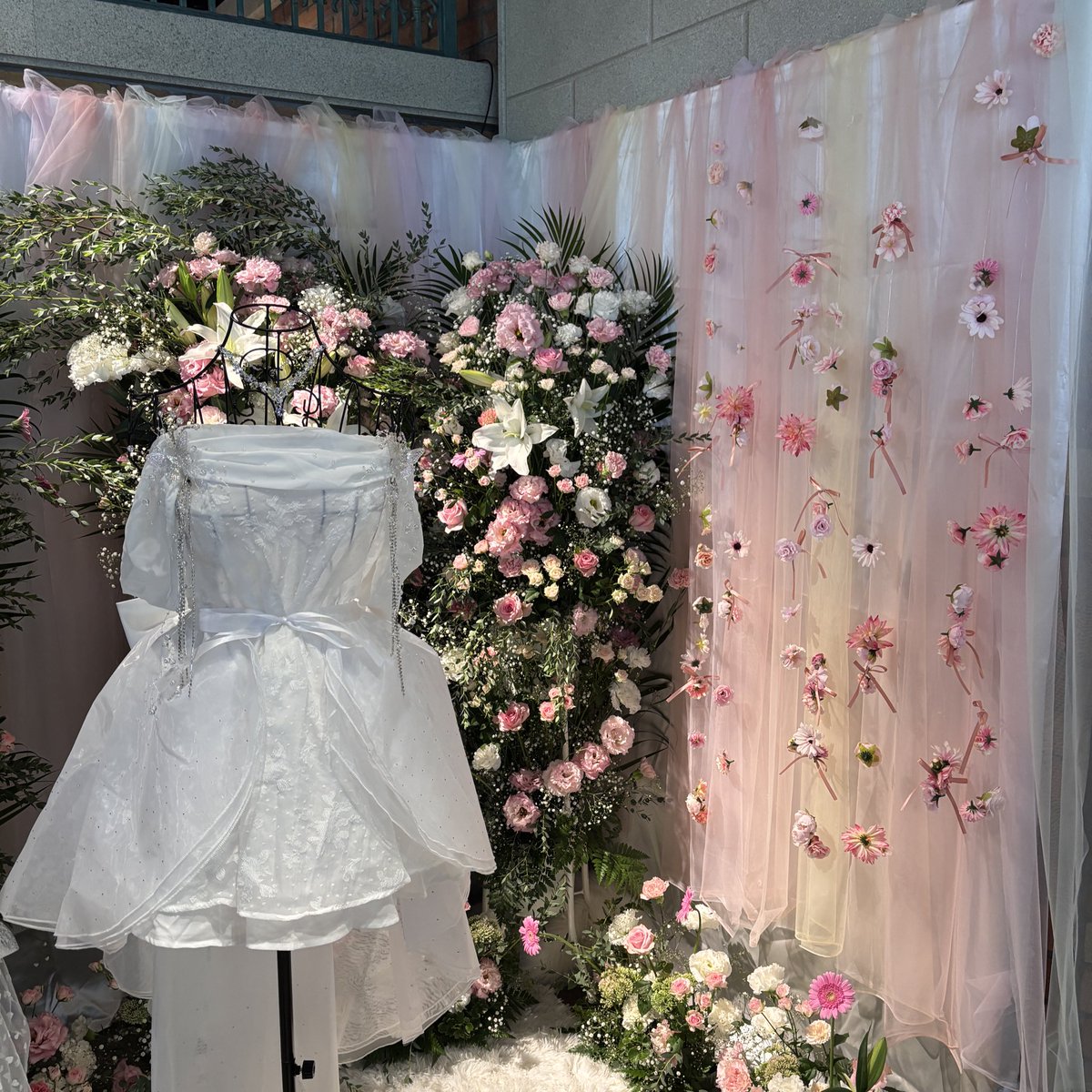 🐰【卒業公演ディスプレイ】🍨
卒業お祝いのディスプレイを設置させていただきました✨
らぶりんが大好きなピンクと白のお花にドレスと靴を🩷🤍

#中野愛理卒業公演