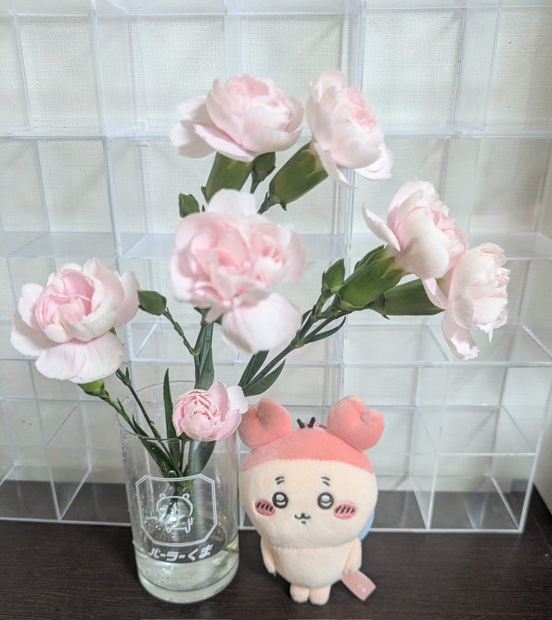 くーちゃん出品 激落ちくん クエン酸 粉末 300g 水アカ 落とす （ げきおちくん