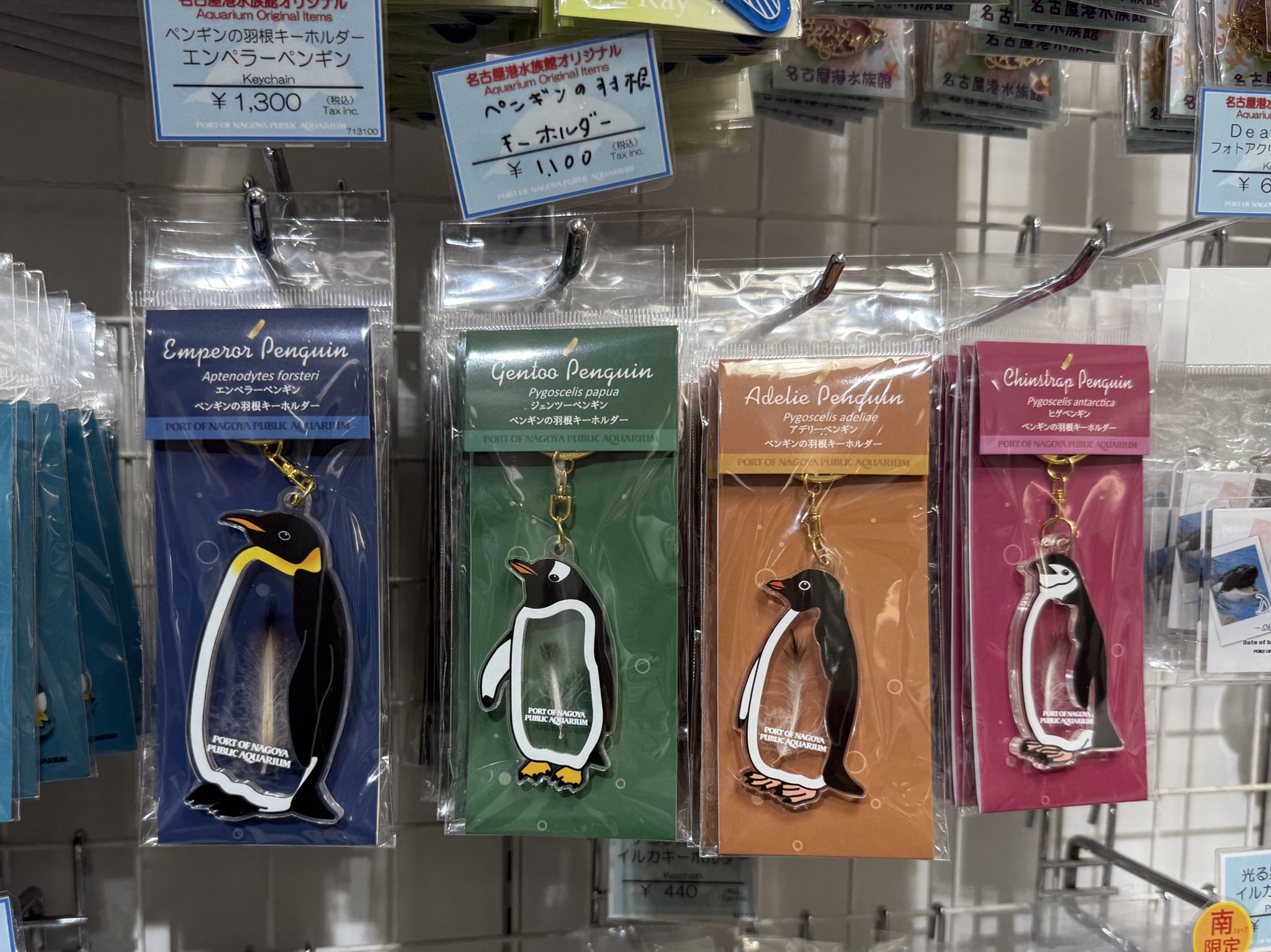 名古屋港水族館 ペンギンの羽根キーホルダー エンペラーペンギン