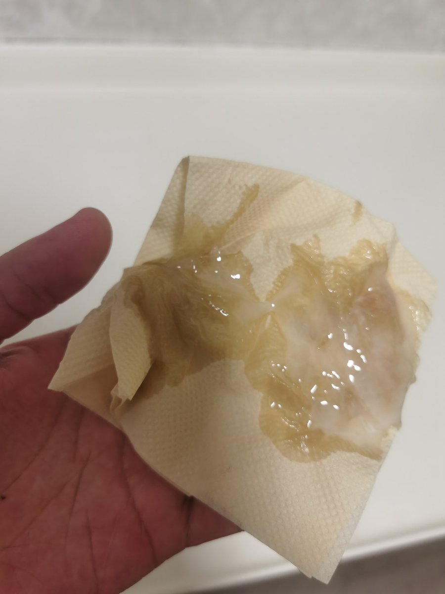 摇摇虎 tweet media