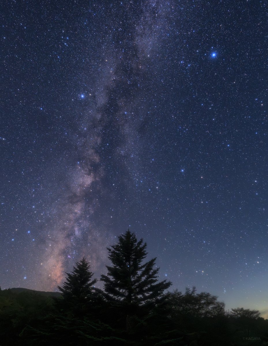 今夜は伝統的七夕（旧暦7月7日）。
宵空に、織姫星と彦星を見守るように月の舟が浮かびます。
（写真は先日撮影。2枚目右上の明るい星が織姫星、左上が彦星です）