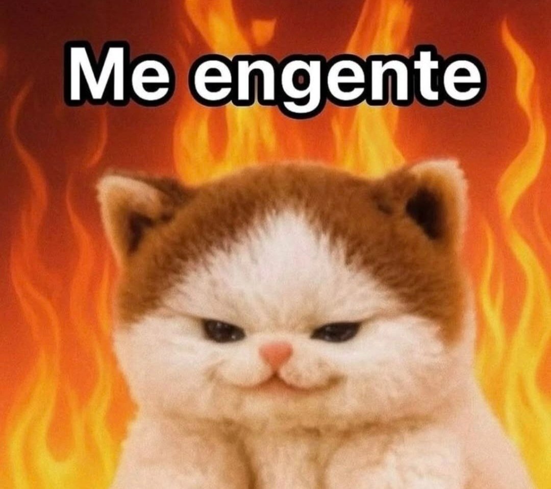 En Júpiter (@en_jupiter_) on Twitter photo  En Júpiter (@en_jupiter_) on Twitter photo