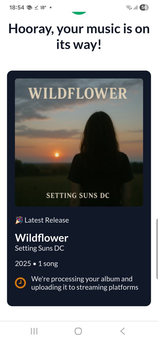 Pre-save our new single "Wildflower" on Spotify: distrokid.com/hyperfollow/se… (powered by @distrokid)