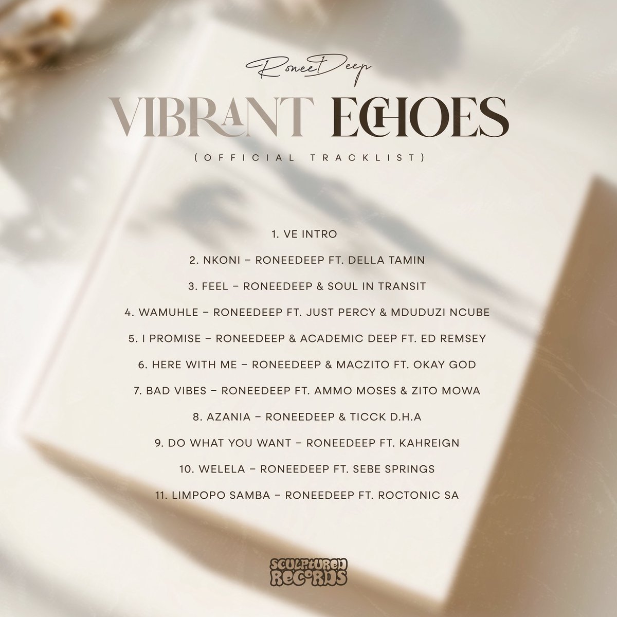 Vibrant Echoes is still one of best albums to come out in 2025

africori.to/vibrantechoes